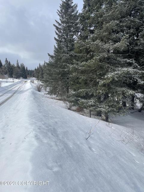17908 Arcturus Loop, Ninilchik, AK 99639 photo 6