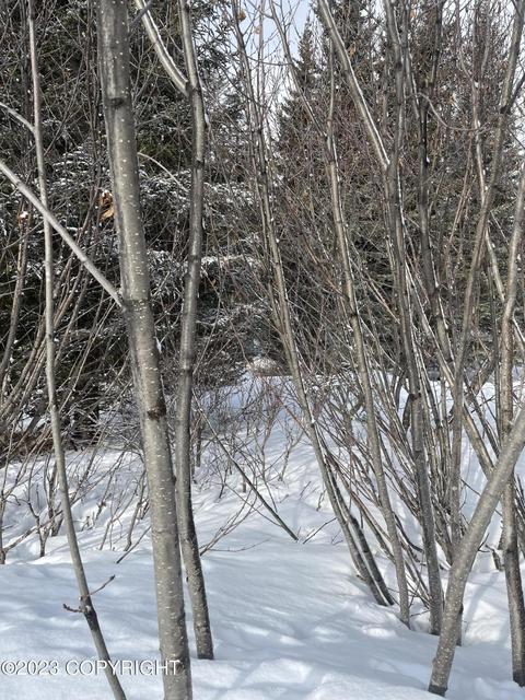 17908 Arcturus Loop, Ninilchik, AK 99639 photo 11