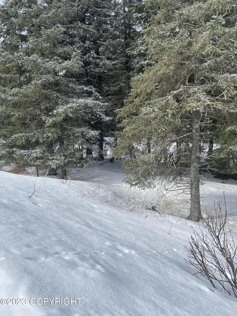 17908 Arcturus Loop, Ninilchik, AK 99639 photo 8