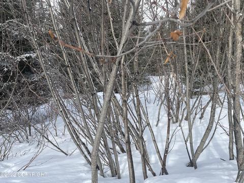 17938 Arcturus Loop, Ninilchik, AK 99639 photo 14