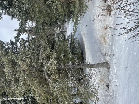 17938 Arcturus Loop, Ninilchik, AK 99639 photo 7