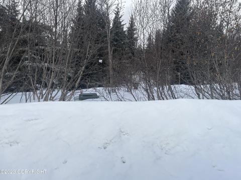 17938 Arcturus Loop, Ninilchik, AK 99639 photo 16