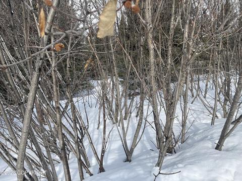 17938 Arcturus Loop, Ninilchik, AK 99639 photo 13