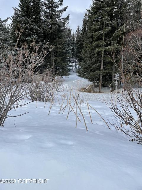17938 Arcturus Loop, Ninilchik, AK 99639 photo 2