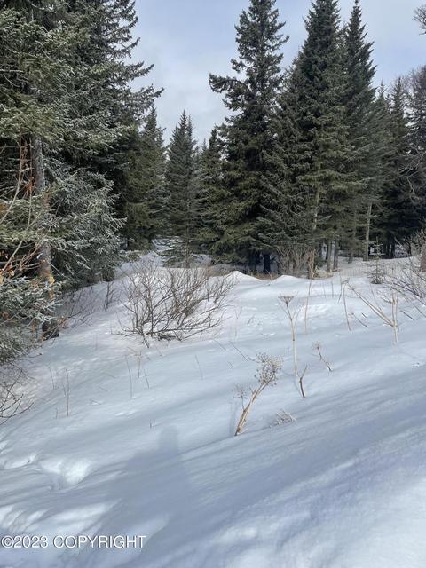 17938 Arcturus Loop, Ninilchik, AK 99639 photo 9
