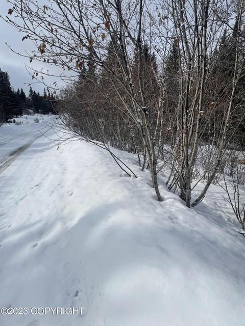 17938 Arcturus Loop, Ninilchik, AK 99639 photo 12