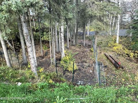 16931 Riddell St, Eagle River, AK 99577 photo 2