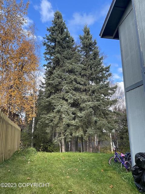 16931 Riddell St, Eagle River, AK 99577 photo 3