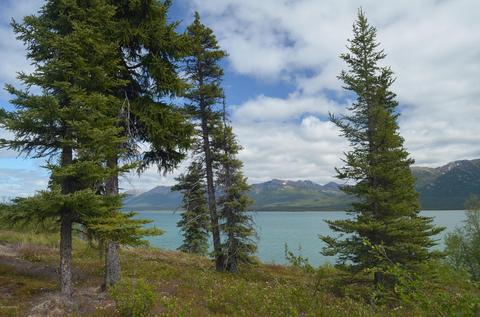 L11 B3 Keyes Point, Remote, AK 99653 photo 9