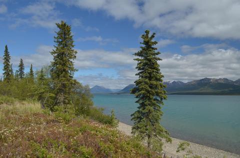 L11 B3 Keyes Point, Remote, AK 99653 photo 2