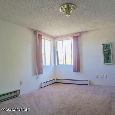 227 Smith Dr, Anchorage, AK 99503 photo 52