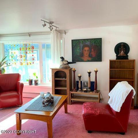 227 Smith Dr, Anchorage, AK 99503 photo 21