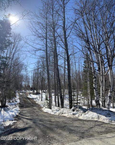 786 W Holiday Dr, Wasilla, AK 99654