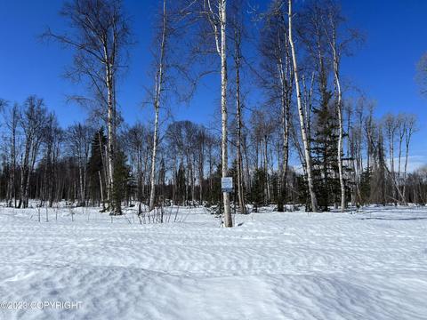 31456 S Salmon Alley St, Talkeetna, AK 99676