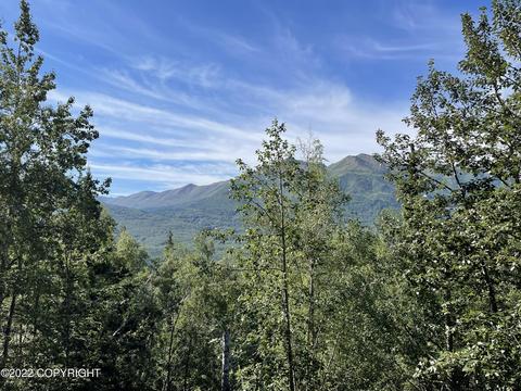 22144 Lake View Dr, Eagle River, AK 99577 photo 18