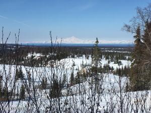 000 Towe Ave, Ninilchik, AK 99639