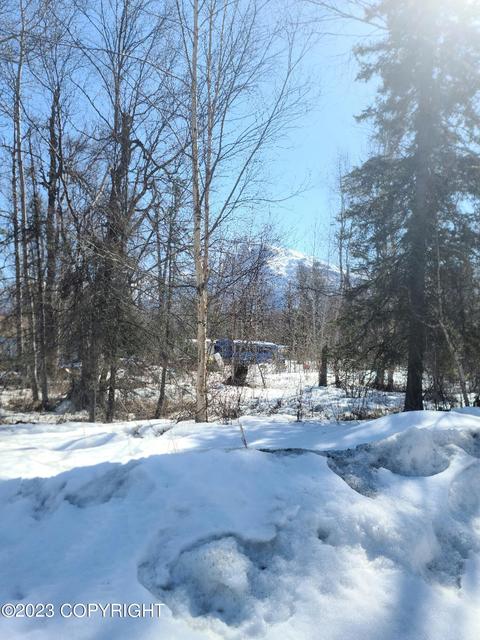 21834 E Grand Ave, Sutton, AK 99674 photo 2