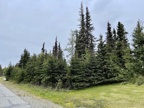 2519 Vip Dr, Kenai, AK 99611