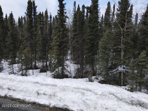 L2 B3 Aero Plane Street, Soldotna, AK 99669