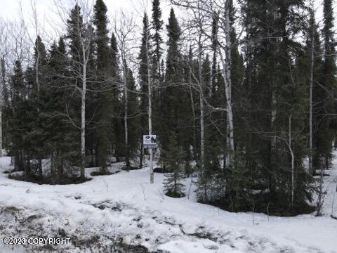L16 B4 Aero Plane Street, Soldotna, AK 99669