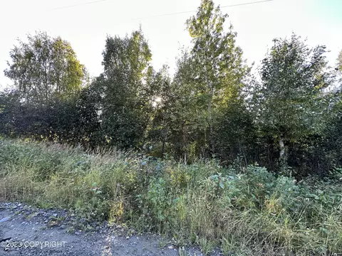 Lot 31 Echo Hills Sub Nash Addn, Soldotna, AK 99669