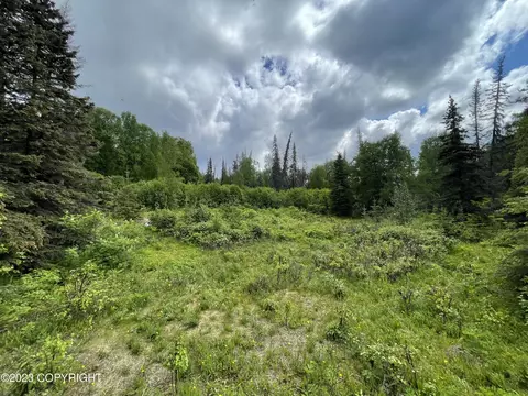 Lot 5a Willa's Way, Willow, AK 99688