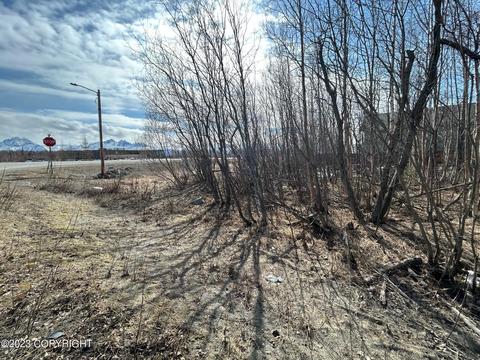 975 S Check St, Wasilla, AK 99654