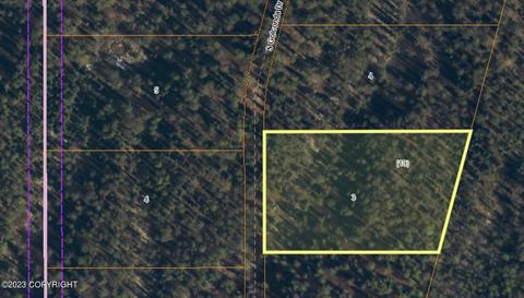 L3 B19 Loriens Trail, Talkeetna, AK 99676