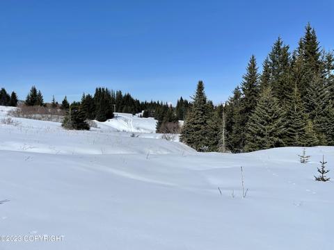40112 Talley, Homer, AK 99603