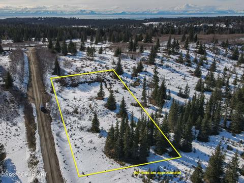 67590 Maule Ave, Ninilchik, AK 99639