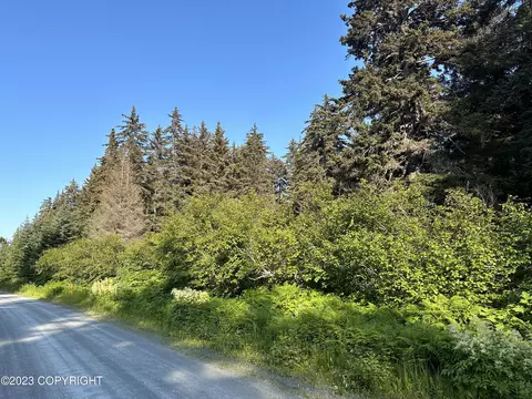 L8 B12 Nutbeem Road, Seldovia, AK 99663