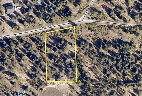 L17 Wild Salmon Way, Ninilchik, AK 99639
