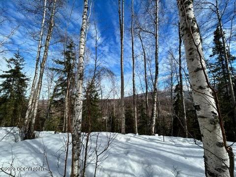 17119 Yellowstone Dr, Eagle River, AK 99577 photo 78