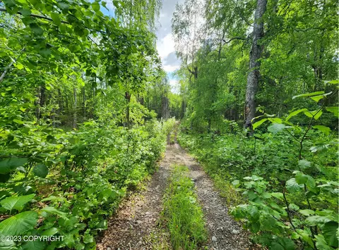10392 S Ridge Rd, Big Lake, AK 99652