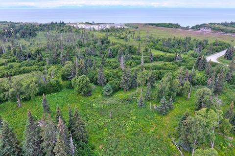000 Dionne Ave, Ninilchik, AK 99639