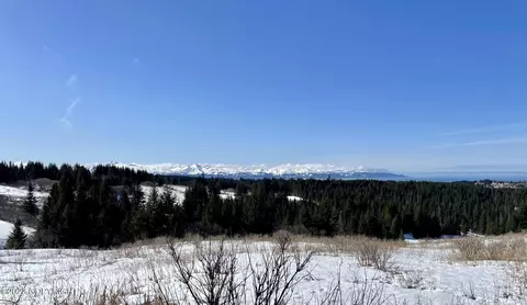 00000 Da Mar Loop, Homer, AK 99603 photo 6