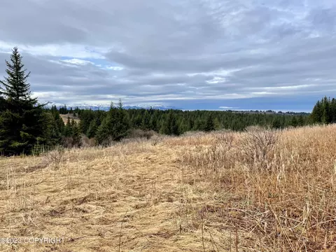 00000 Da Mar Loop, Homer, AK 99603 photo 3