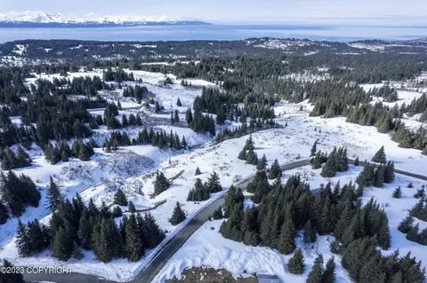 00000 Da Mar Loop, Homer, AK 99603 photo 10