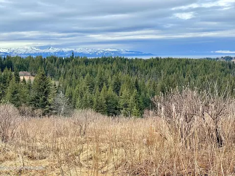 00000 Da Mar Loop, Homer, AK 99603 photo 2