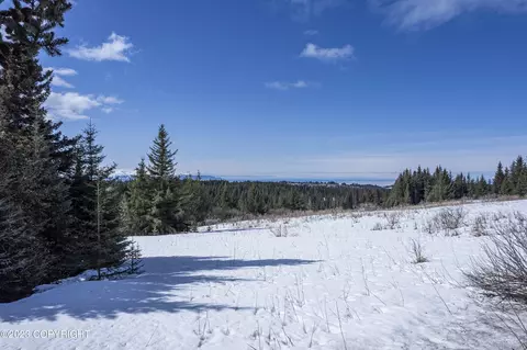 00000 Da Mar Loop, Homer, AK 99603 photo 12