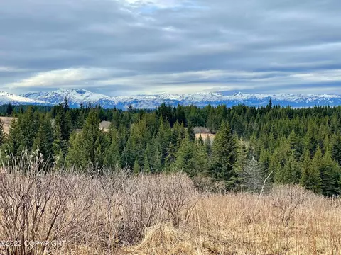 00000 Da Mar Loop, Homer, AK 99603 photo 4