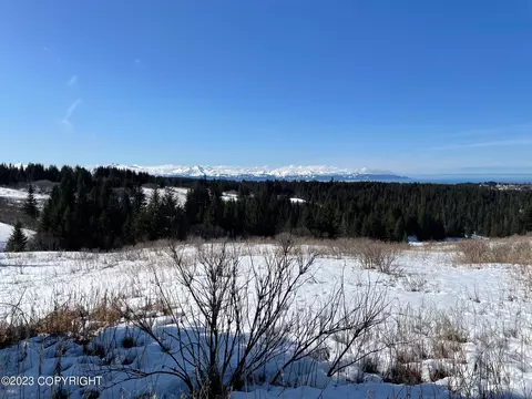 00000 Da Mar Loop, Homer, AK 99603 photo 11