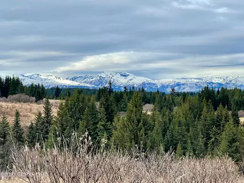 00000 Da Mar Loop, Homer, AK 99603 photo 5