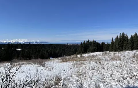 00000 Da Mar Loop, Homer, AK 99603 photo 7