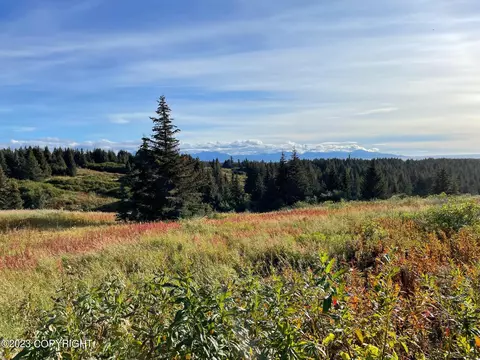 00000 Da Mar Loop, Homer, AK 99603