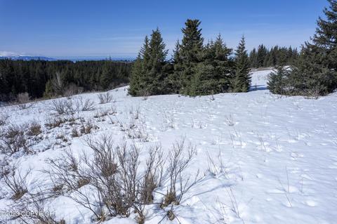 64984 Da Mar Loop, Homer, AK 99603 photo 2