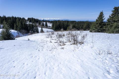 64984 Da Mar Loop, Homer, AK 99603 photo 1