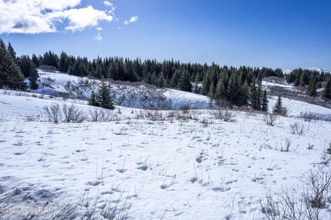 64984 Da Mar Loop, Homer, AK 99603 photo 4