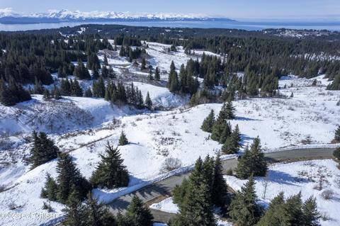 64984 Da Mar Loop, Homer, AK 99603 photo 6
