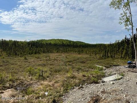1280 N Barbi Dr, Wasilla, AK 99623